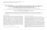Identification of metallo-b-lactamase from a clinical ...