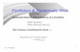 Portfolios & Systematic Risk - Fusion Technology Institute