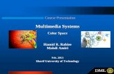 Multimedia Systems - Sharif