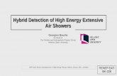 Hybrid Detection of High Energy Extensive Air Showers