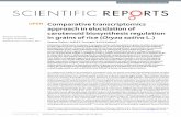 Comparative transcriptomics approach in elucidation of