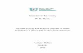 Szent István University Ph.D. Thesis Adverse effects and ...