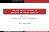 Operator splitting methods for nonlinear Schrödinger equations