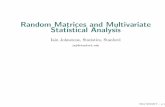 Random Matrices and Multivariate Statistical Analysis