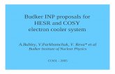 Budker INP proposals for HESR and COSY electron cooler system