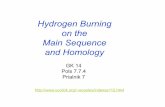 Hydrogen Burning on the Main Sequence and Homology
