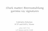 (Dark matter) Bremsstrahlung gamma ray signatures