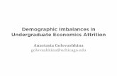 Demographic Imbalances in Undergraduate Economics Attrition