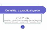 Cellulitis: a practical guide