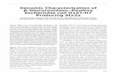 Genomic Characterization of β-Glucuronidase–Positive ...