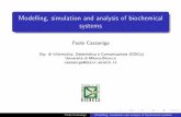 Modelling, simulation and analysis of biochemical systems