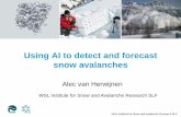 Using AI to detect and forecast snow avalanches