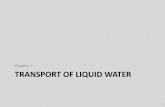 Chapter 7 TRANSPORT OF LIQUID WATER - ETH Z