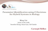 Parameter Identiﬁcation using δ‐Decisions for Hybrid ...