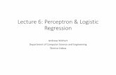 Lecture 6: Perceptron & Logistic Regression