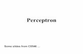 Perceptron - Kangwon