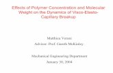 Effects of Polymer Concentration and Molecular Weight on ...