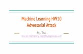 Adversarial Attack Machine Learning HW10