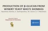 PRODUCTION OF β-GLUCAN FROM WINERY YEAST WASTE …