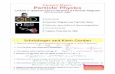 Subatomic Physics: Particle Physics - School of Physics ...