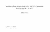 Transcription Regulation and Gene Expression in Eukaryotes ...