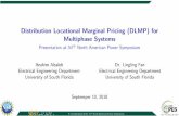 Distribution Locational Marginal Pricing (DLMP) for
