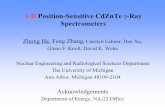 3-Dimensional Position-Sensitive CdZnTe ?-Ray Spectrometers