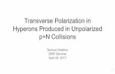 Transverse Polarization in Hyperons Produced in