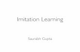 Imitation Learning