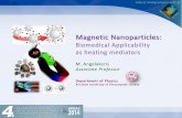 Magnetic Nanoparticles - auth