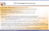 (3) Ferromagnetism (additional)