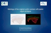 Histology of the vaginal wall in women with pelvic organ ...