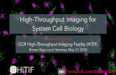 High-Throughput Imaging for System Cell Biology