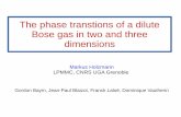 The phase transtions of a dilute Bose gas in two and three ...