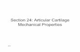 Section 24: Articular Cartilage Mechanical Properties