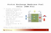 Proton Exchange Membrane Fuel Cells (PEM FCs)