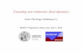 Causality and relativistic fluid dynamics