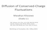 Diffusion of Conserved-Charge Fluctuations
