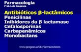 Prof. Luiz Bragança Antibióticos β-lactâmicos