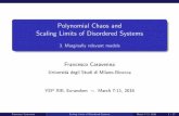 Polynomial Chaos and Scaling Limits of Disordered Systems