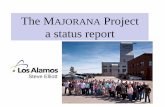 The MAJORANA Project a status report
