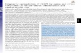 Epigenetic upregulation of FKBP5 by ... - bioneuroemocion.blog