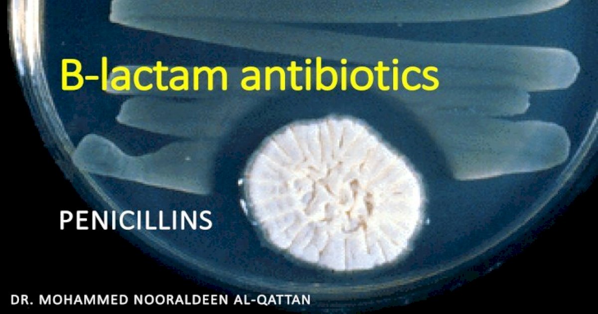 خ’-lactam antibiotics Benzylpenicillin (penicillin G) Has narrow ...