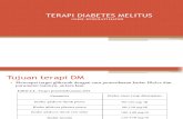 Terapi Diabetes Melitus