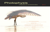 Photophysis Issue 1