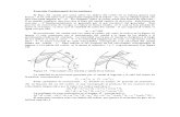 Hidraulica - Ecuación Fundamental de las turbinas de Reacción