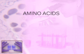 Amino Acids Ppt