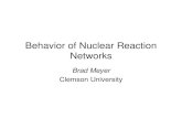 Behavior of Nuclear Reaction .Behavior of Nuclear Reaction Networks Brad Meyer Clemson University