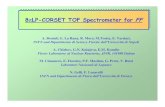 88€€LP-CORSET TOF Spectrometer for LP-CORSET TOF ... detectors/8plp_   88€€LP-CORSET TOF Spectrometer