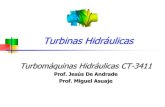 Turbinas Hidrulicas - .Turbinas Hidrulicas TurbomquinasHidrulicasCT-3411 Prof. Jess De